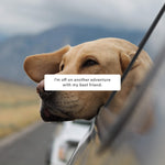 Load image into Gallery viewer, hijoey "Car Ride" Button