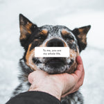 Load image into Gallery viewer, hijoey "Sticker" Set