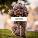 Load image into Gallery viewer, hijoey "Park" Button