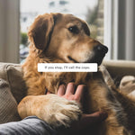 Load image into Gallery viewer, hijoey "Pet Me" Button
