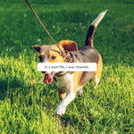 Load image into Gallery viewer, hijoey "Walk" Button