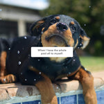 Load image into Gallery viewer, hijoey "Bath" Button