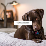 Load image into Gallery viewer, hijoey "Treat" Button