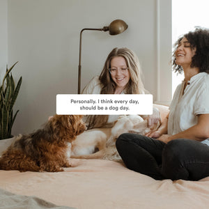 Dog Communication Buttons 4-Pack - Yes/No/Maybe/Sorry Sound Buzzers For Pet Training | Talking Dog Button Set With Different Colors